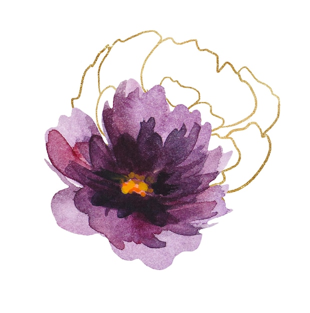 Watercolor Purple and golden peonies flowers illustration elements