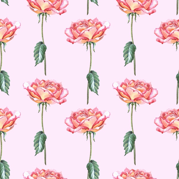 watercolor red roses with green leaves on pink background