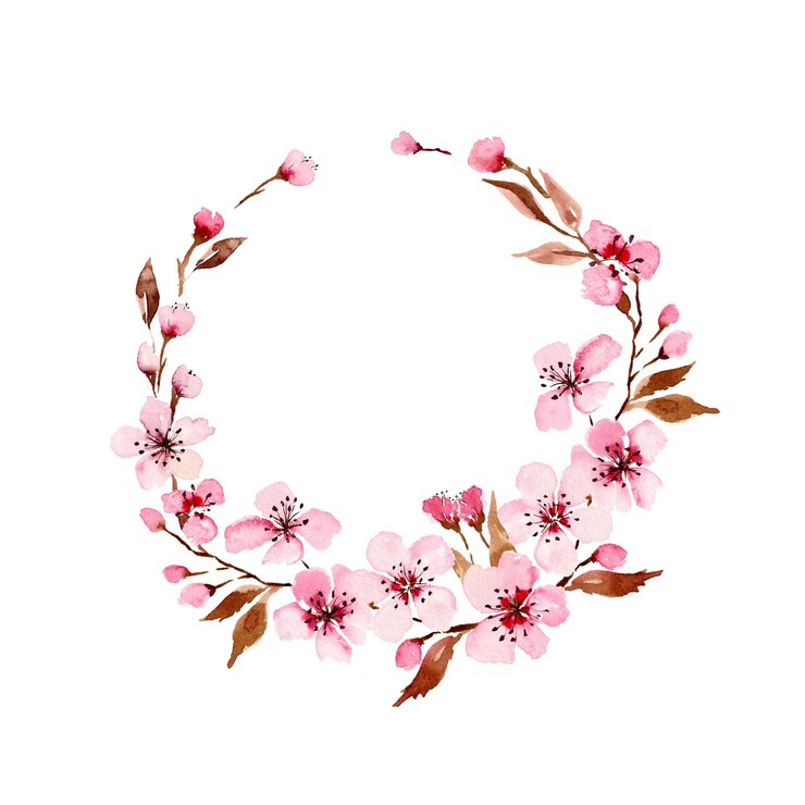 Watercolor sakura flowers wreath Spring cherry blossom hand painted illustration