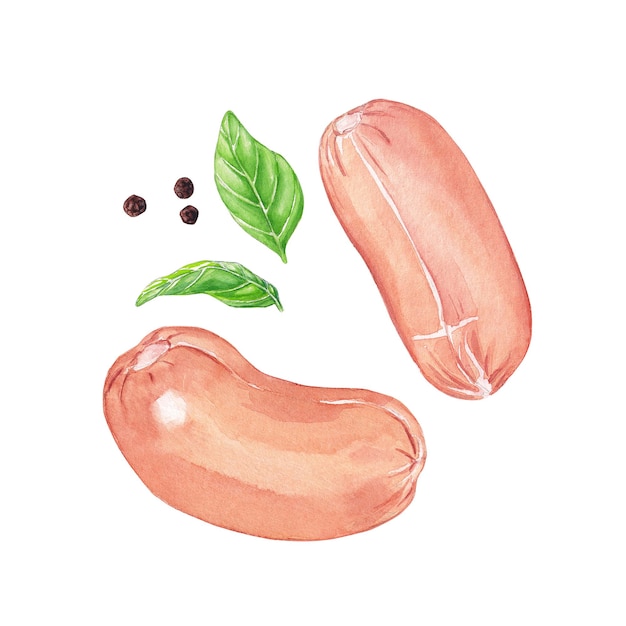 Photo watercolor sausages and basil leaves