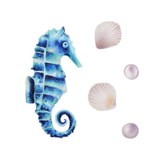 Watercolor sea horse and shell with pearl Hand painting clipart underwater life objects on a white i