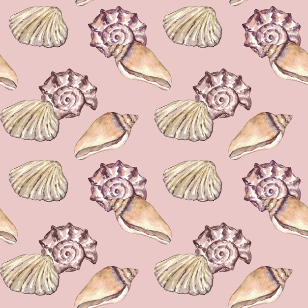 Watercolor sea shell seamless pattern Hand drawn seashells texture vintage ocean background