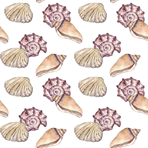 Watercolor sea shell seamless pattern Hand drawn seashells texture vintage ocean background