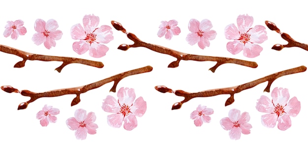 Photo watercolor seamless border drawing with branches and cherry blossoms