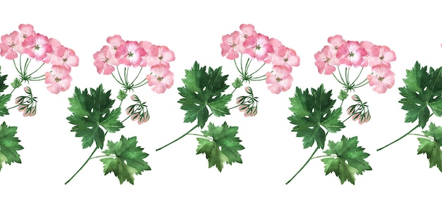 Watercolor seamless border with inflorescences, flowers, buds and leaves of the geranium plant