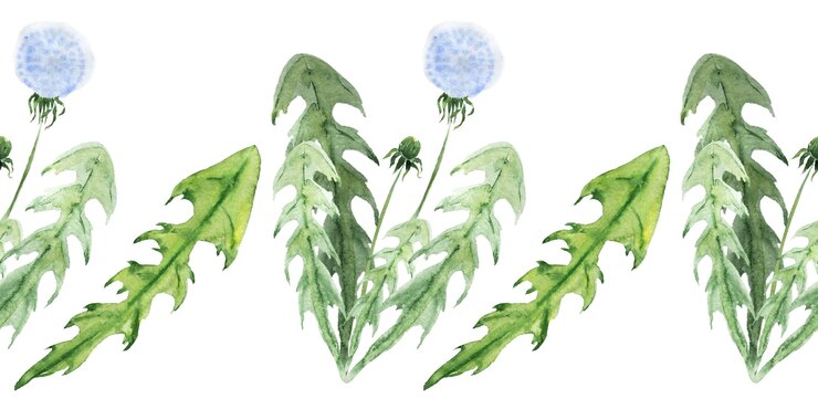 Photo 様式化されたタンポポの植物と水彩のシームレスな境界線