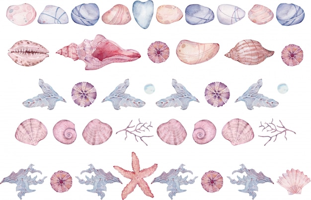 Photo watercolor seamless borders with seashells, pebbles, starfish and seaweed.