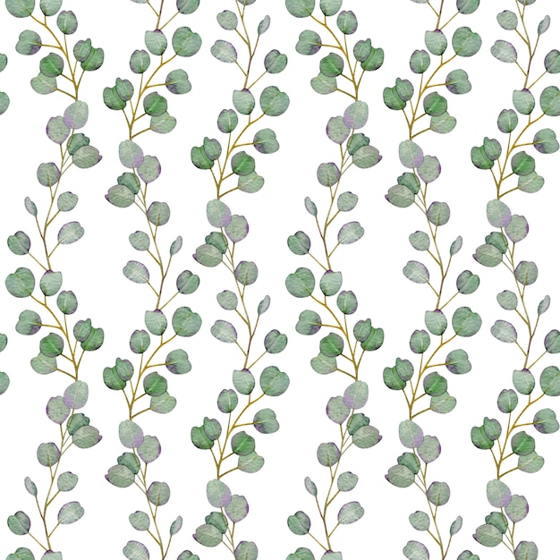 Photo watercolor seamless pattern of eucalyptus branches. hand-drawn botanical illustration.