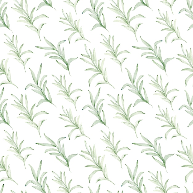 Watercolor seamless pattern of eucalyptus branches