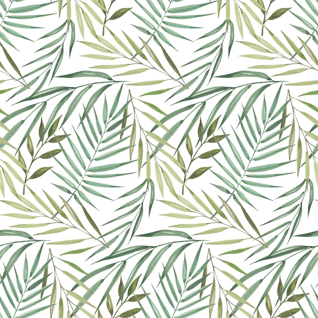Акварель бесшовный рисунок экзотических пальм, зеленых тропических листьев на белом фоне