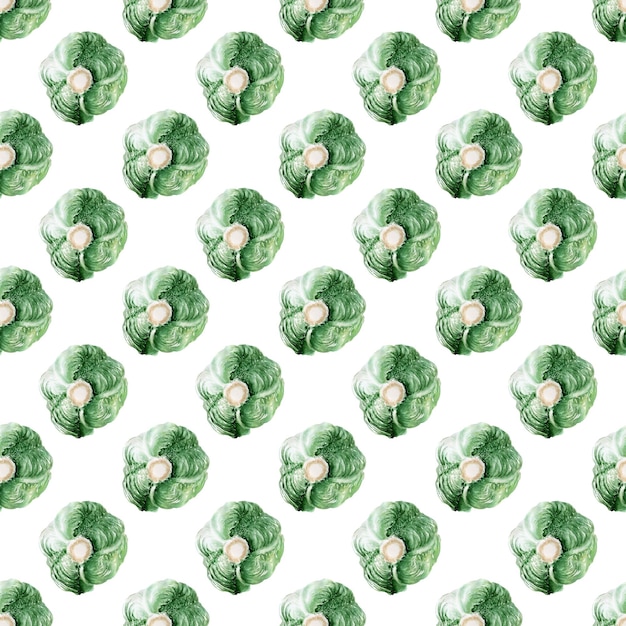 Watercolor seamless pattern of Fresh Cabbage