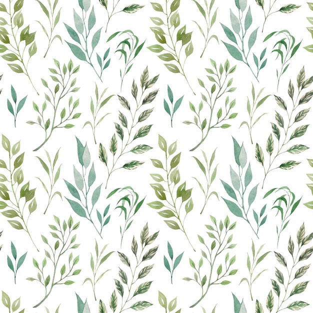 watercolor seamless pattern of green herbs and leaves ideal for designer decoration illustration of plants greenery on a white background