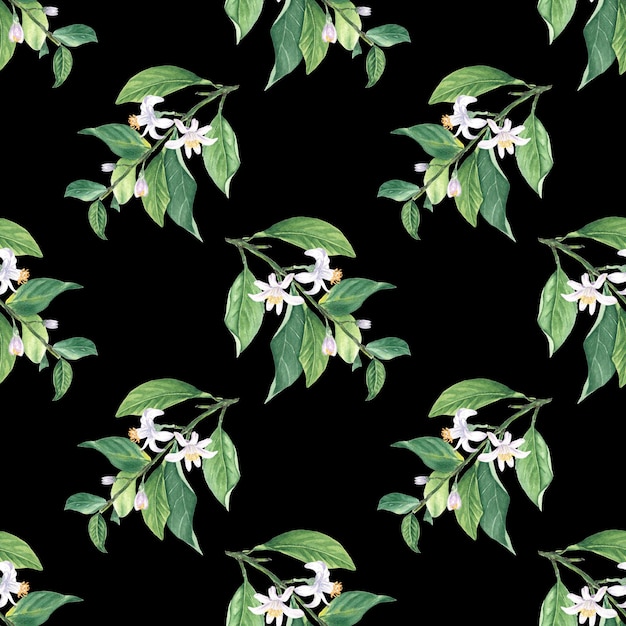 Watercolor seamless pattern lemon branch flowers black background hand-painted in botanical style
