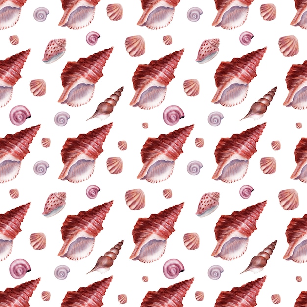 Watercolor seamless pattern Marine colorful shells with mother of pearl