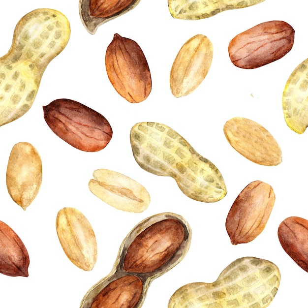 Photo watercolor seamless pattern of peanuts