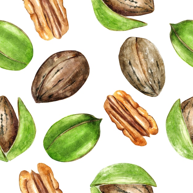 Watercolor seamless pattern of pecan nuts