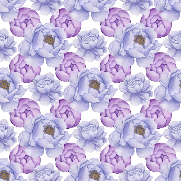 Watercolor seamless pattern peonies and roses on a white background