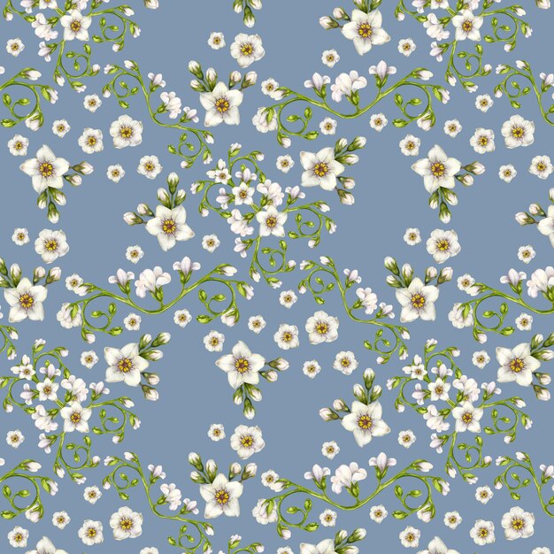 Photo watercolor seamless pattern of white forgetmenots for easter wedding valentines day spring