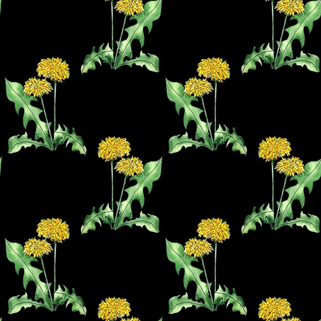 Watercolor seamless pattern wildflowers dandelions on black\
background, hand-painted botanical style