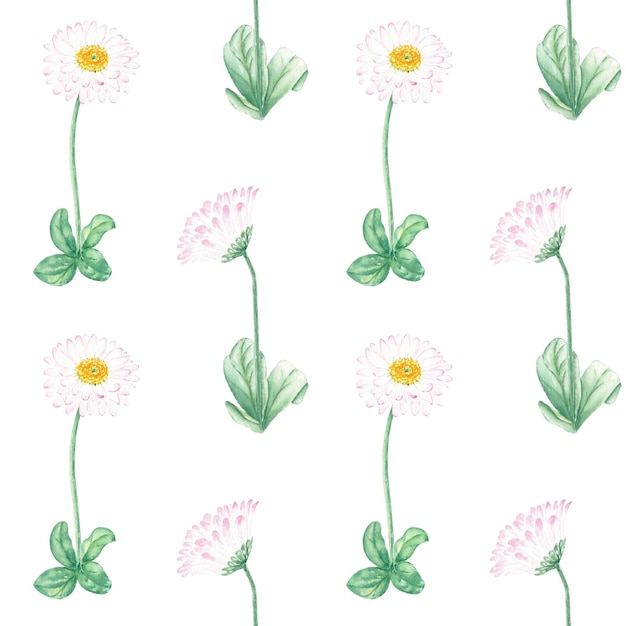 Photo watercolor seamless pattern wildflowers handdrawn in botanical style on white for use in wallpaper