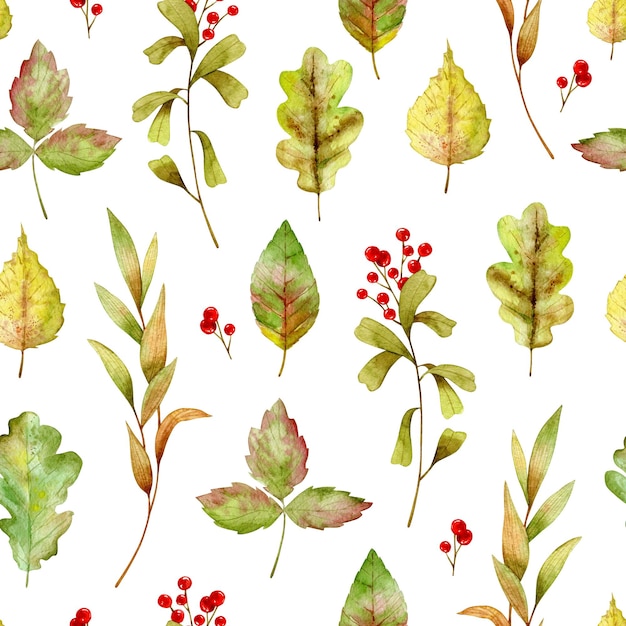 Watercolor seamless pattern with autumn leaves and forest berries Isolated on white background
