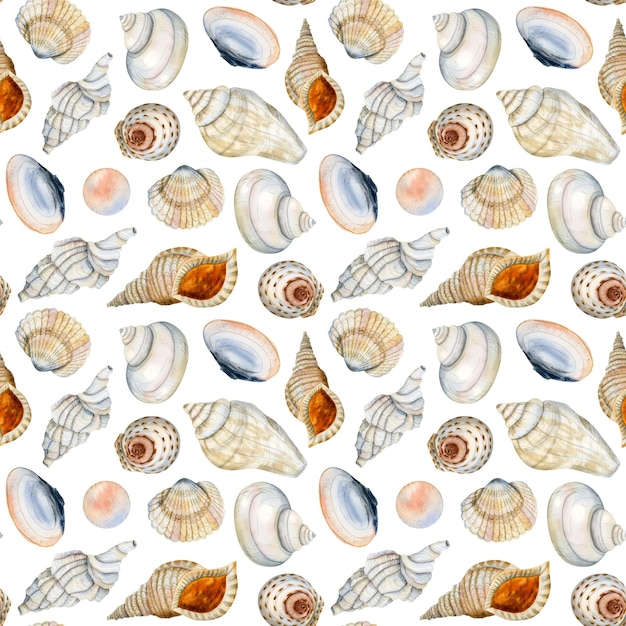 Watercolor seamless pattern with different seashells and pearls on white in blue orange beige