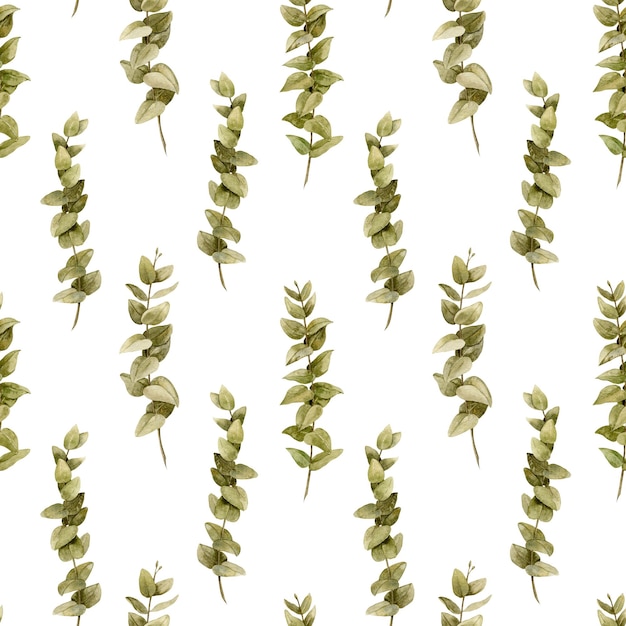 Watercolor seamless pattern with eucalyptus hand drawn backdrop with green leaves and twigs