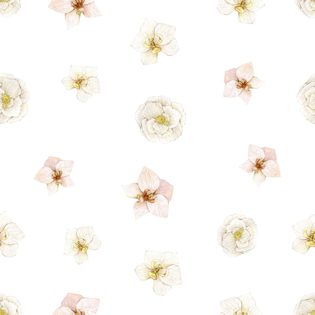 Watercolor seamless pattern with flowers orchid and ranunculus Hand drawn clipart