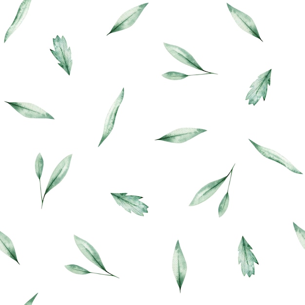 Watercolor seamless pattern with green different leaves Isolated on white background Hand drawn