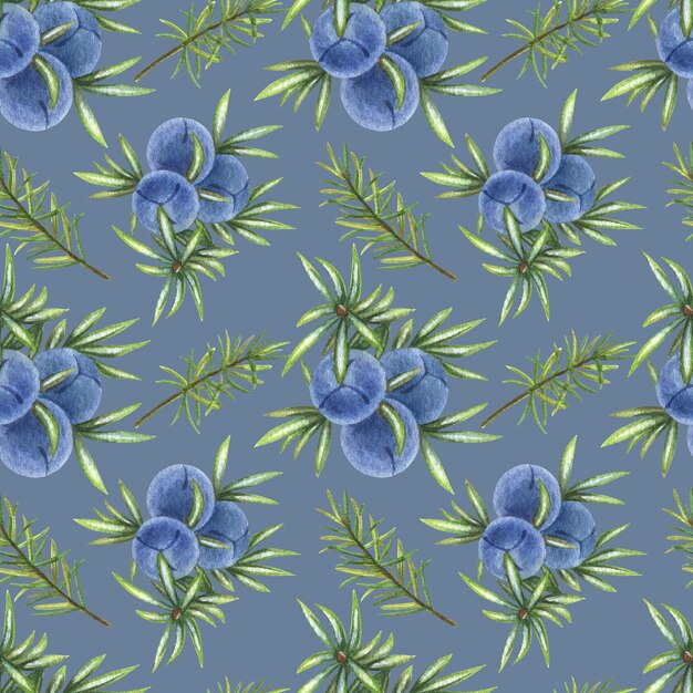 Photo watercolor seamless pattern with juniper berries from forest on dusty blue background