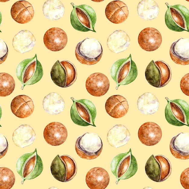 Watercolor seamless pattern with macadamia