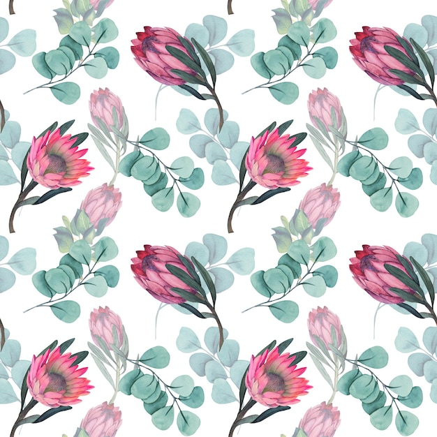 Watercolor seamless pattern with magenta protea floral background blooming flowers and protea leaves