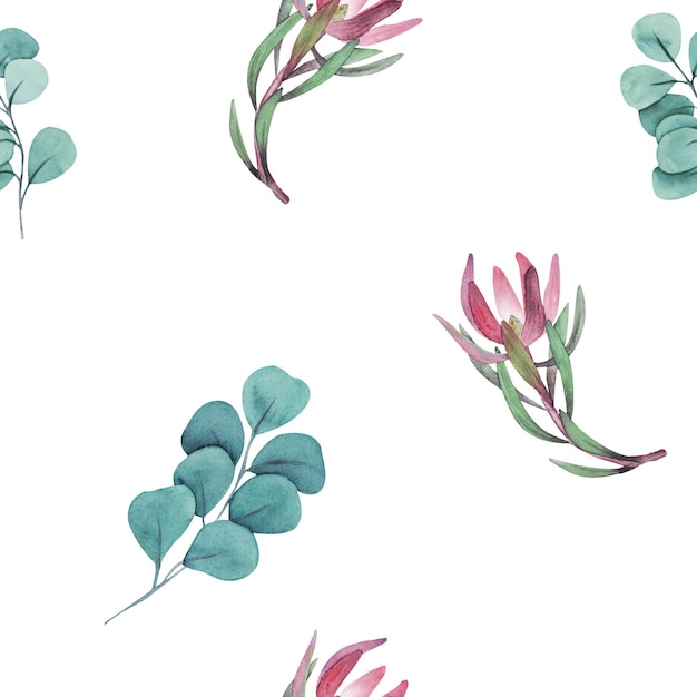 Watercolor seamless pattern with magenta protea floral background blooming flowers and protea leaves