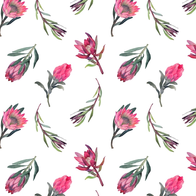 Watercolor seamless pattern with magenta protea floral background blooming flowers and protea leaves