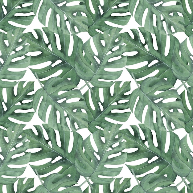 Watercolor seamless pattern with monstera tropical leaves Jungle design illustration for fabrics covers prints Succulent green leaves hand drawn botanical illustration