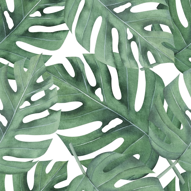 몬스테라 열대 잎을 사용한 수채색 매끄러운 패턴 패브릭에 대한 정글 디자인 그림 인쇄 즙이 많은 녹색 잎 손으로 그린 식물원 그림