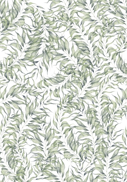 Watercolor seamless pattern with palm willow tree leaves on white background greenery branch