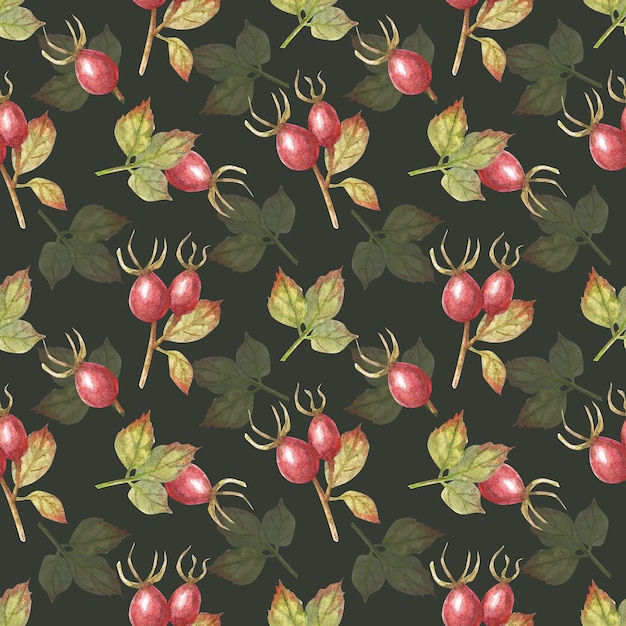 Watercolor seamless pattern with red rose hips and leaves