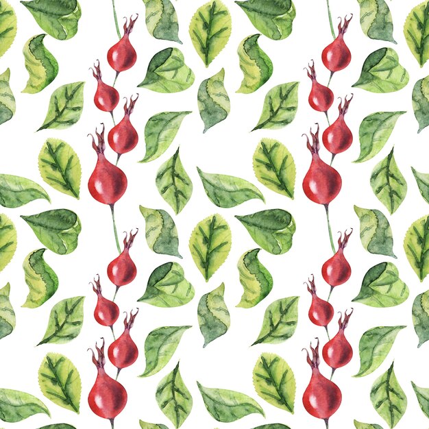 Photo watercolor seamless pattern with rosehip plant