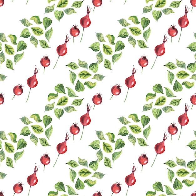 Watercolor seamless pattern with rosehip plant