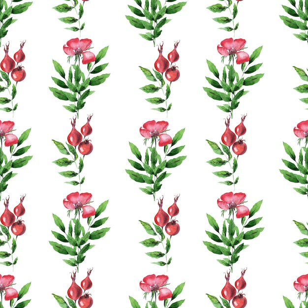 Watercolor seamless pattern with rosehip plant