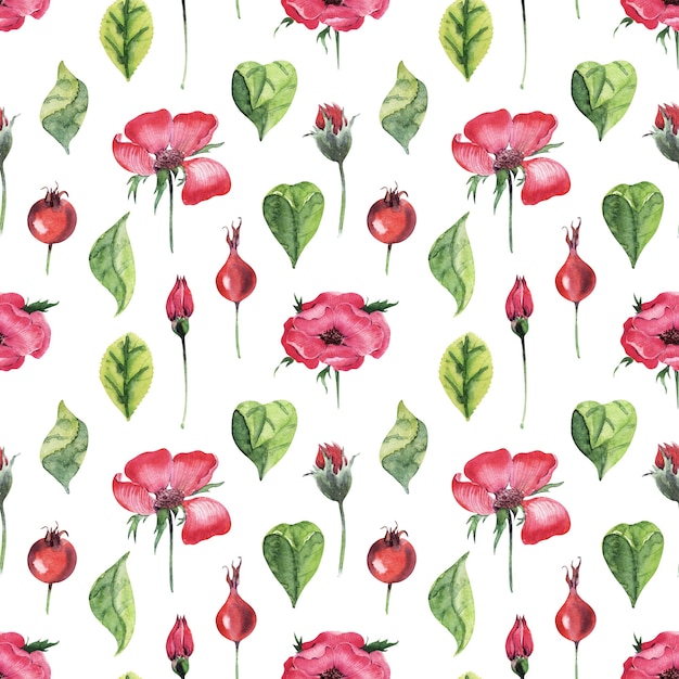 Watercolor seamless pattern with rosehip plant