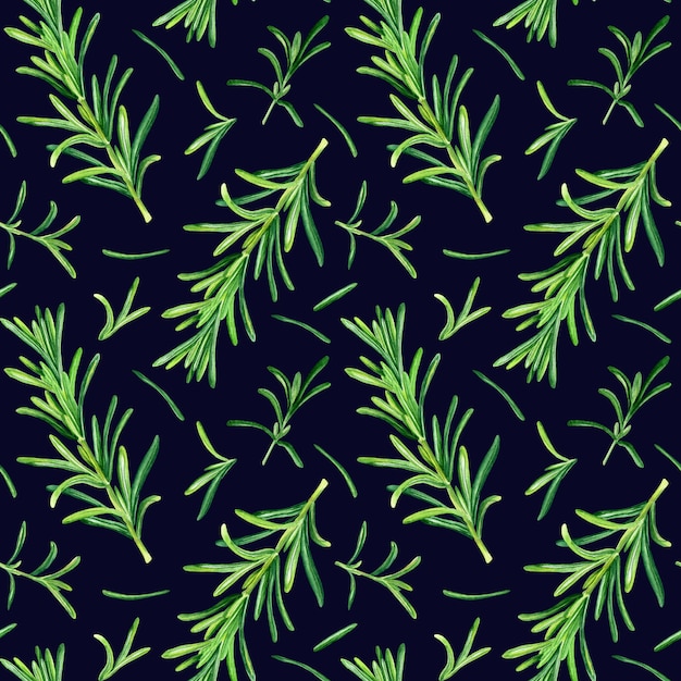 Watercolor seamless pattern with rosemary Rosmarinus officinalis herb Botanical illustration for wrapping textile fabric