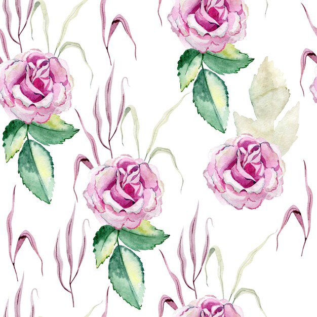 Watercolor seamless pattern with roses on the white background