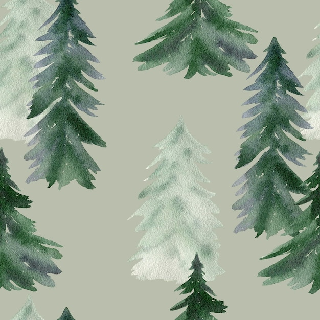 Watercolor seamless pattern with spruce