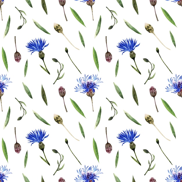 Photo watercolor seamless pattern with twigs, leaves, buds and flowers of the cornflower plant