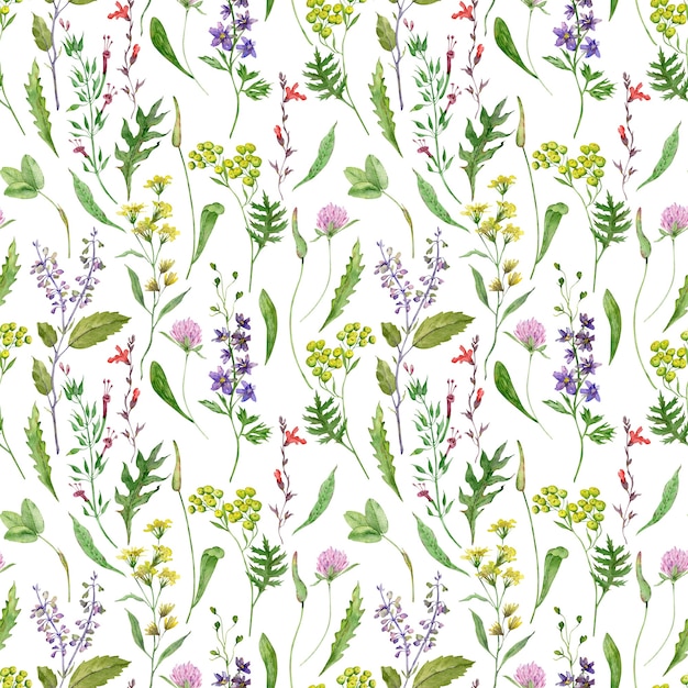 Photo watercolor seamless pattern with wild flowers and grass.