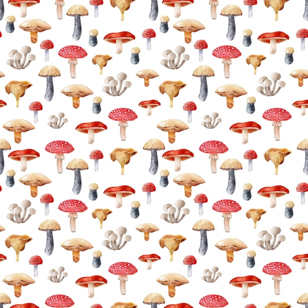 야생 버섯과 수채화 원활한 패턴