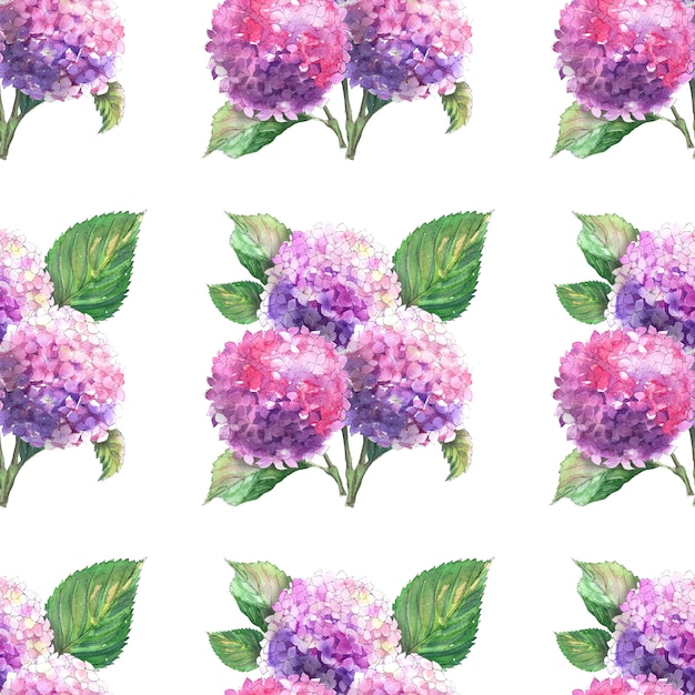 Watercolor seamless patterns with blooming hydrangea branches. Bright inflorescences