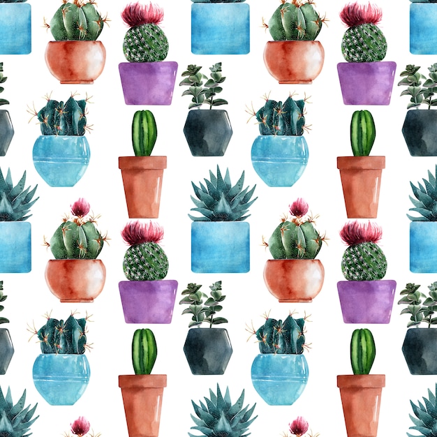 Watercolor seamless patterns with different types of cacti